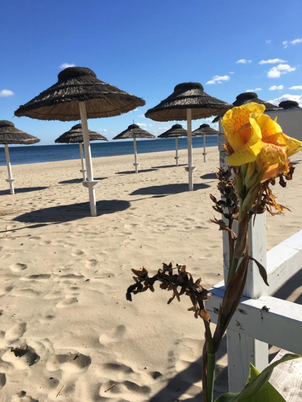 Jp Sopot Apartamenty Dış mekan fotoğraf